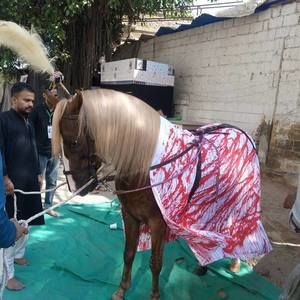 Meet your Posher, M minhas